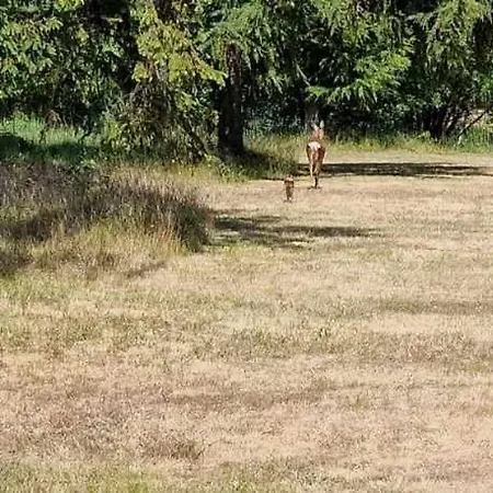Coastal Hideout Vacation